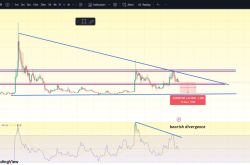 SHIB/USDT 下跌三角形形态与RSI看跌背离：深度分析及交易策略